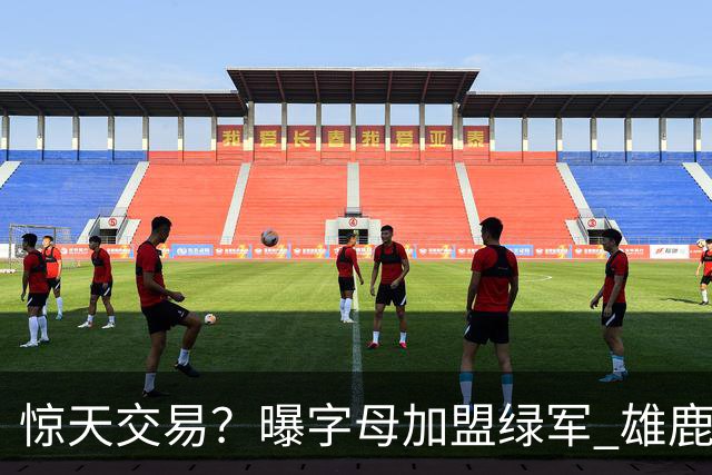 惊天交易？曝字母加盟绿军 雄鹿为布朗寻找第三方