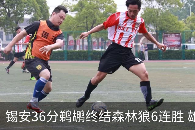 锡安36分鹈鹕终结森林狼6连胜 雄鹿险胜公牛