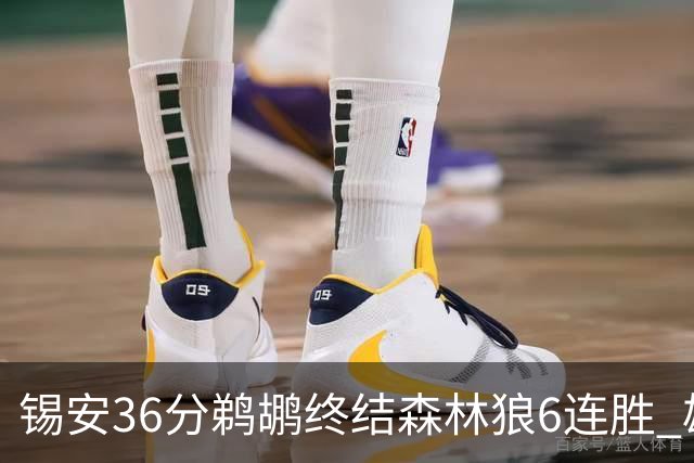 锡安36分鹈鹕终结森林狼6连胜 雄鹿险胜公牛